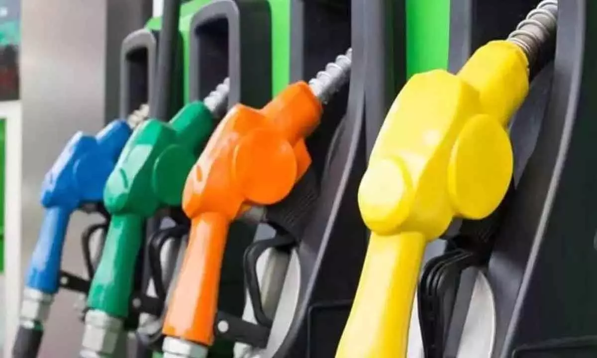 Electioneering at its peak, but diesel sales slide, petrol flat