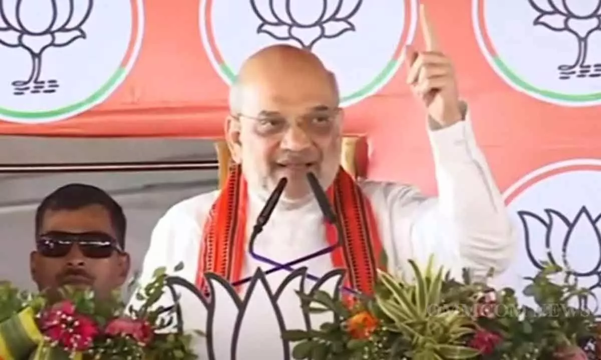 BJP to win 75 Assembly, 15 LS seats in Odisha: Shah