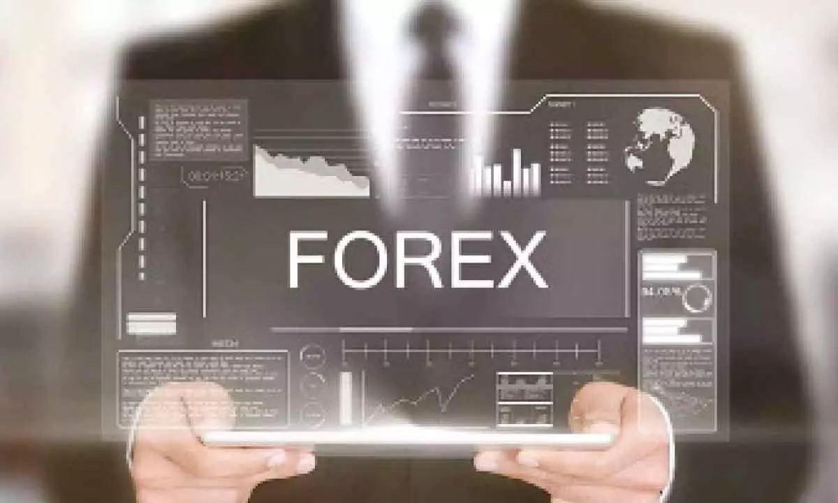 Forex kitty swells $2.56 bn to $644.15 bn