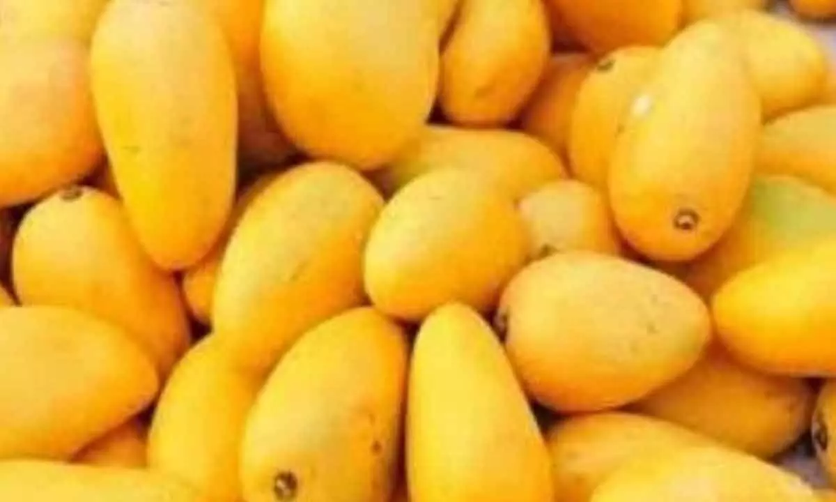 FSSAI cautions fruit traders not to use calcium carbide