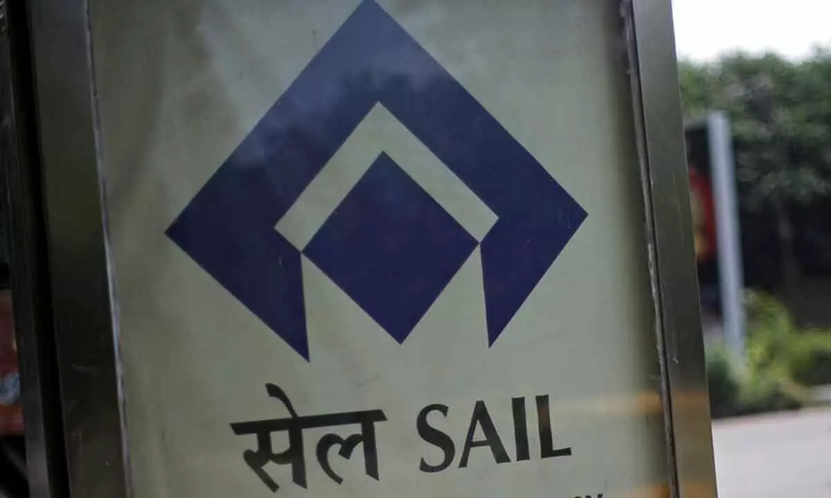 Sail posts record revenue in FY24