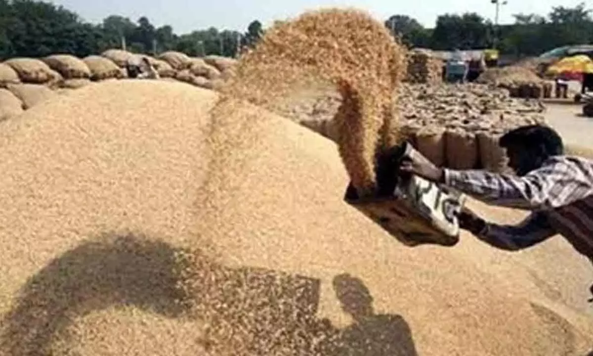 Paddy procurement to continue till last grain: T’gana Dy CM