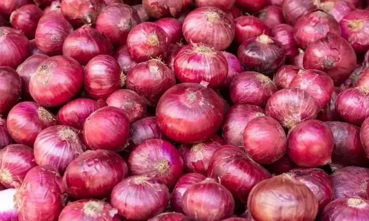 Govt plans radiation processing of onions to create buffer stock