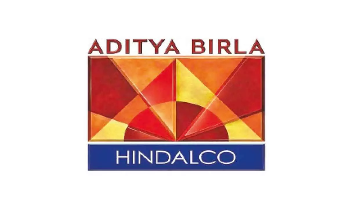 Hindalco in process of bidding for 2 nickel, cobalt mines: MD