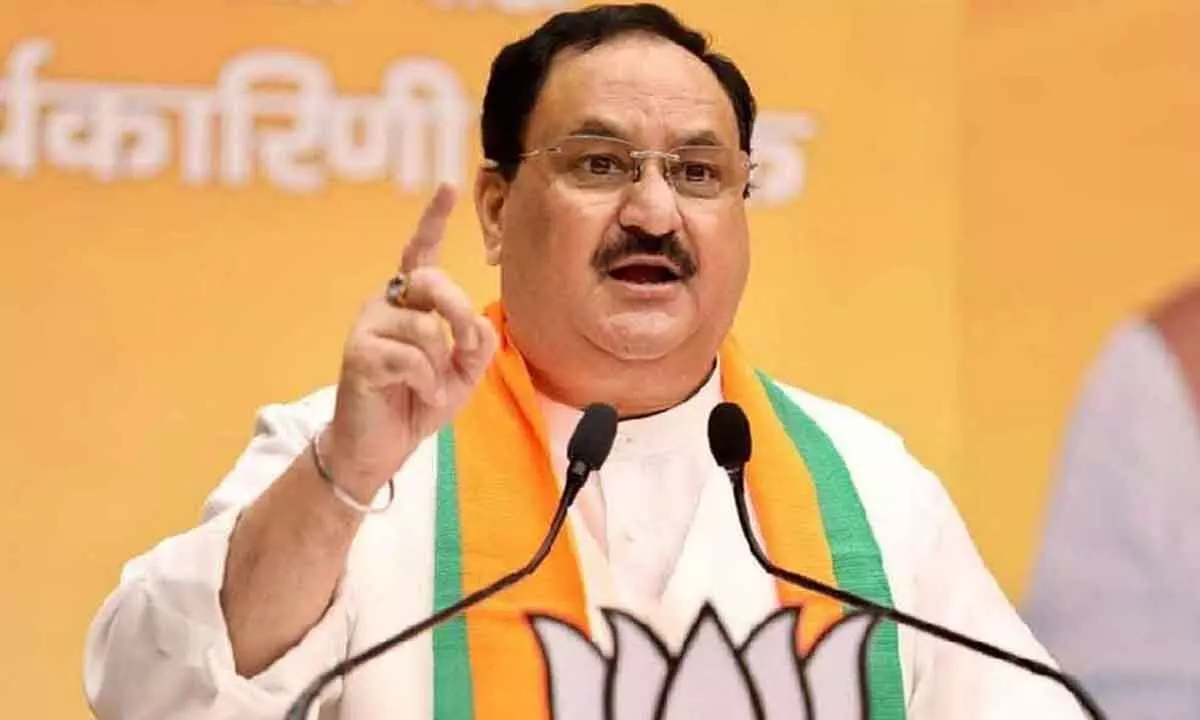 Modi’s ‘mazboot’ govt replaced ‘majboor’ UPA: Nadda