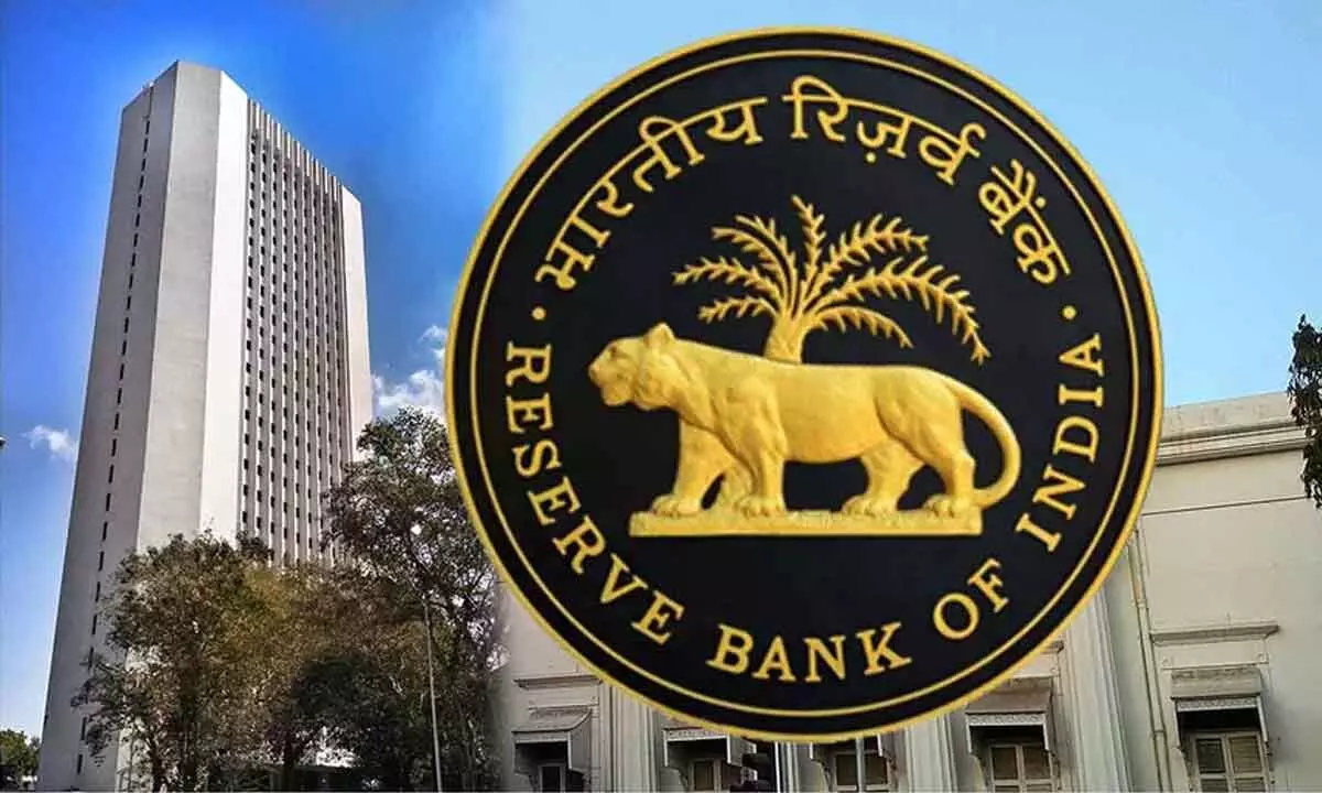 Fitch: Record RBI dividend unsustainable