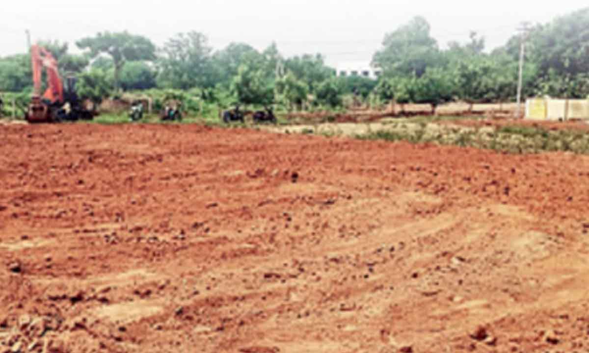 Activist urges AP Guv to block assigned land ownership change