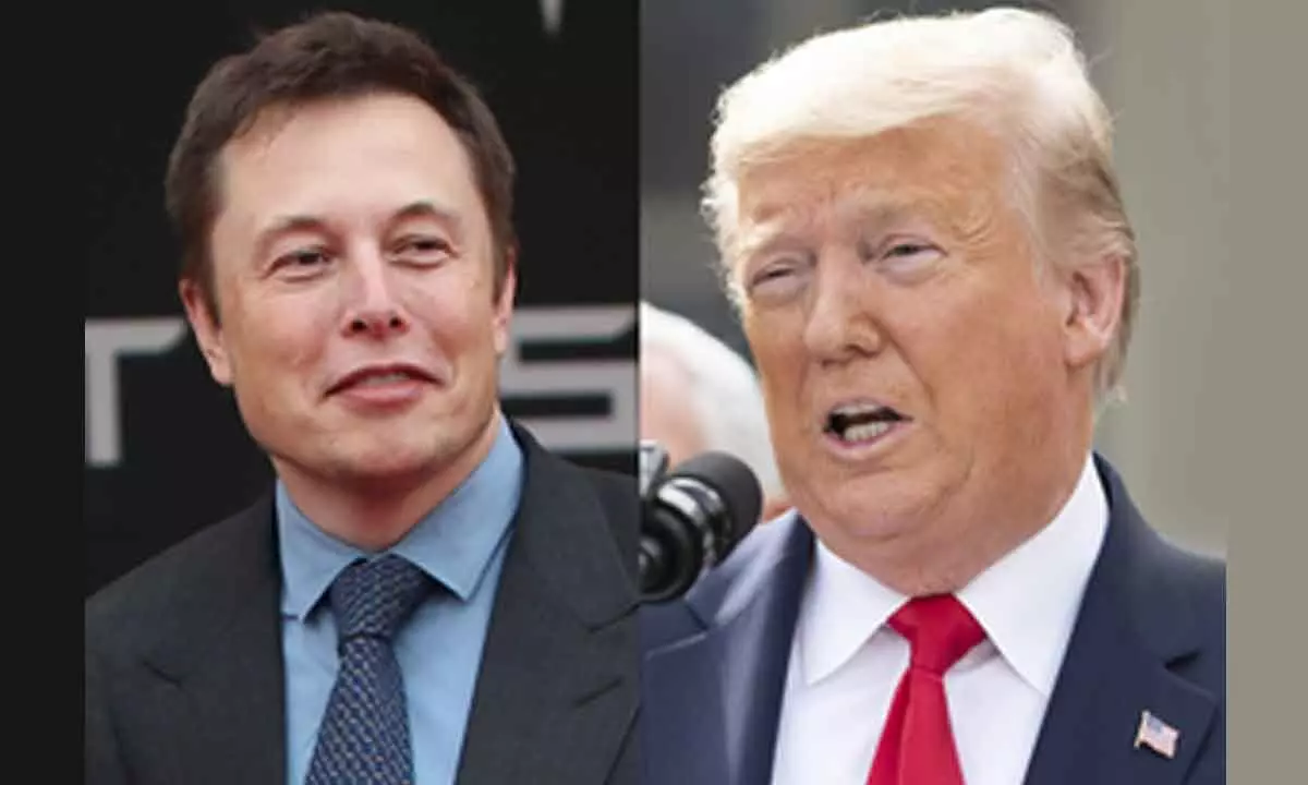 Musk slams Trump’s conviction