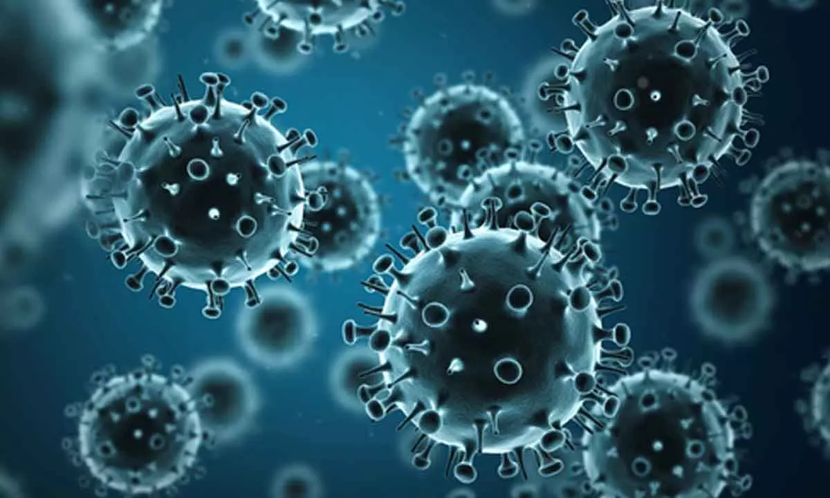 New influenza B antibody will help develop universal vaccine