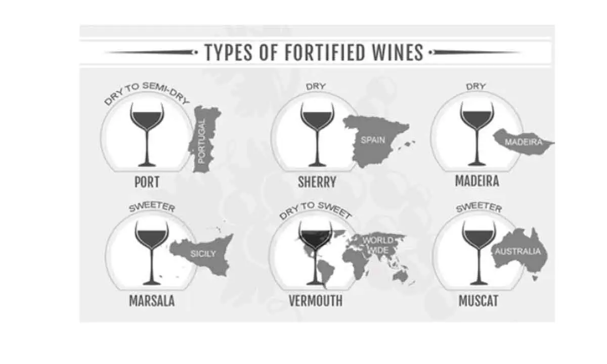 Versatile fortified wines emerge as the global flavour among patrons