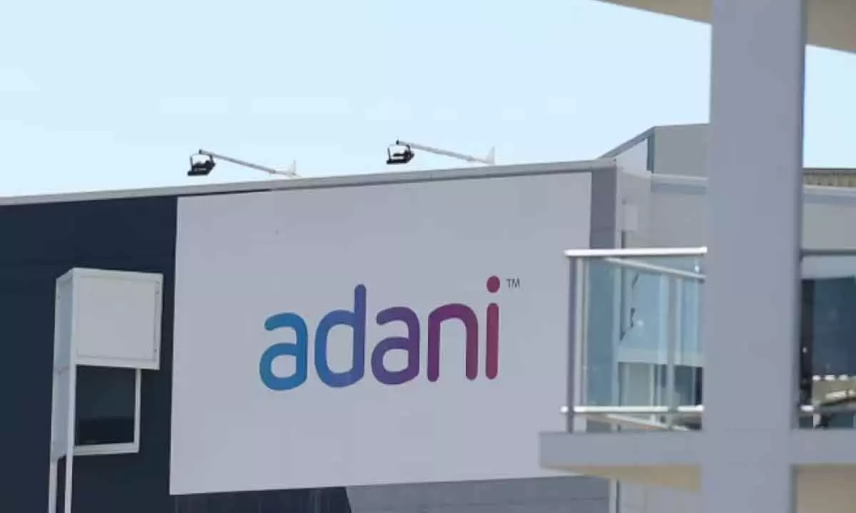 Adani Group shares hit lower circuit