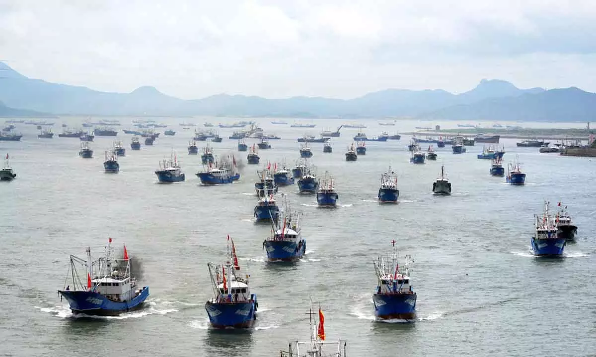 How industrial fishing by foreign fleets in developing nations harming local economies