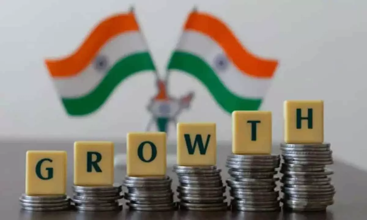 Growth to stay high but inequality a concern: Economists