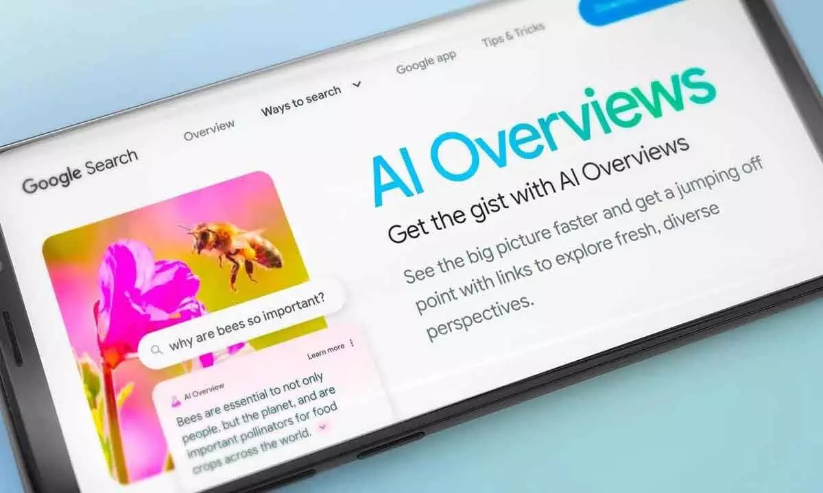 Keep search alternatives ready;‘AI Overviews’ is not the end-all