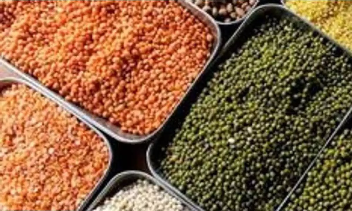 Prices of pulses likely to soften from July: Centre