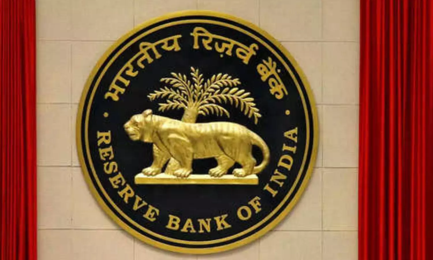 RBI wins 2024 Risk Manager Award