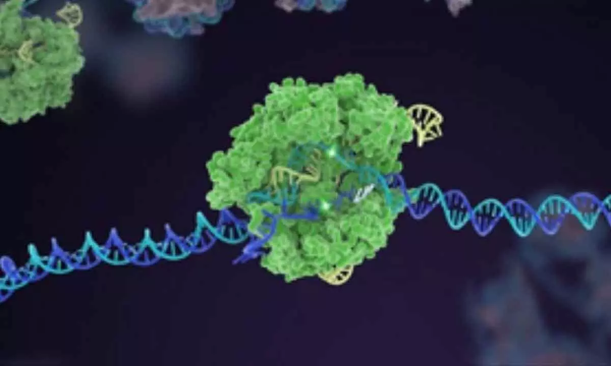 Gene therapy shows encouraging results