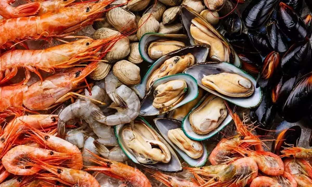 Price pressure hits seafood exporters