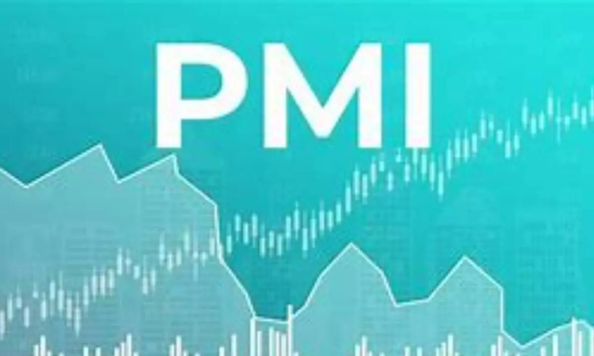 Manufacturing, services PMI rebound in June