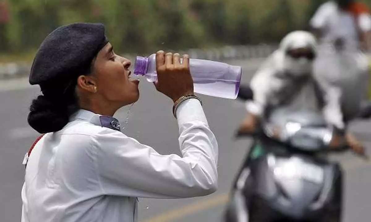 Deadly duo of heat and humidity threatens millions across world