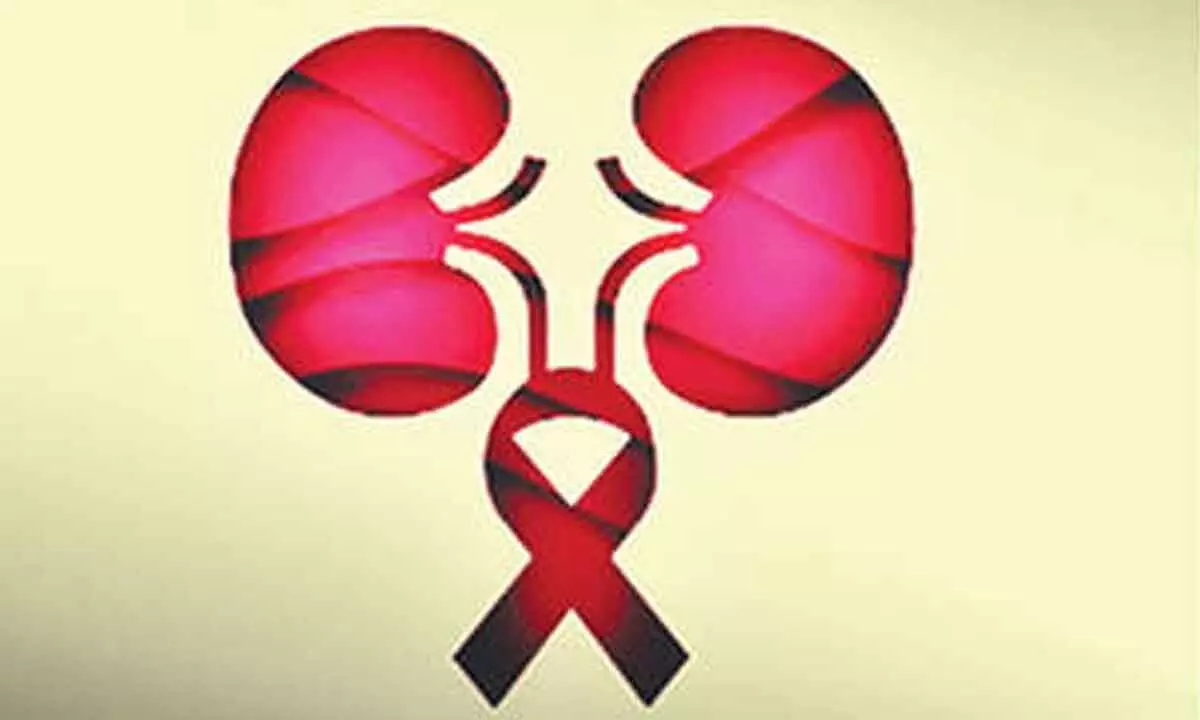 Healthy BMI, no smoking effective to reduce kidney cancer risk: Experts