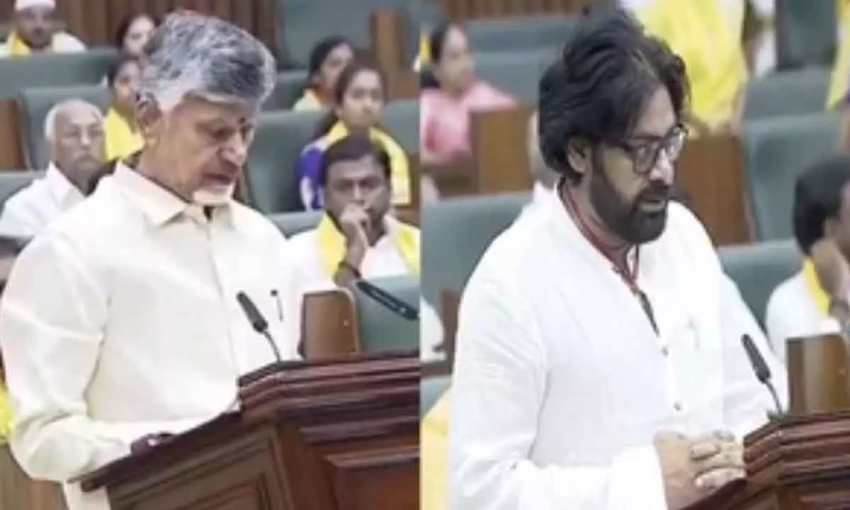 Chandrababu Naidu, Pawan Kalyan take oath as MLAs