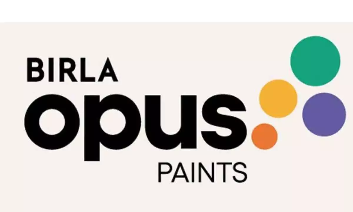 Birla Opus Paints displays product range at expo in Hyd