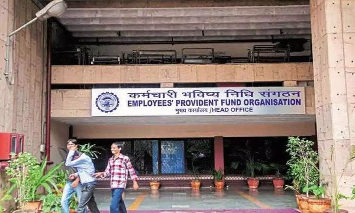 New additions to EPFO fall 4% during FY24