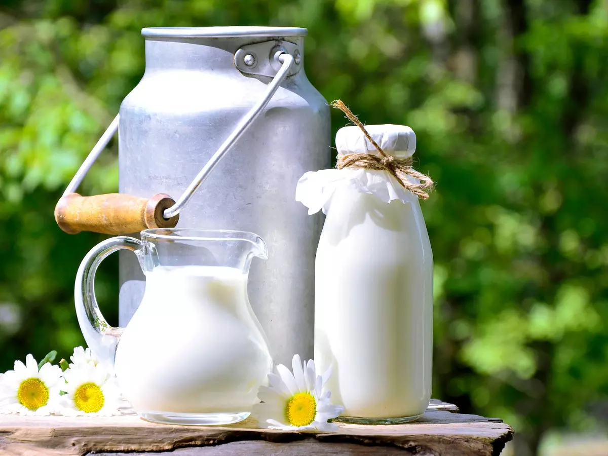 Indias milk production rises 4 pc to cross 239 million tonnes in 2023-24