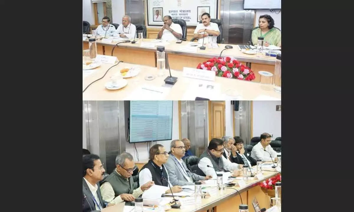 Steel Ministers discuss RINL issues