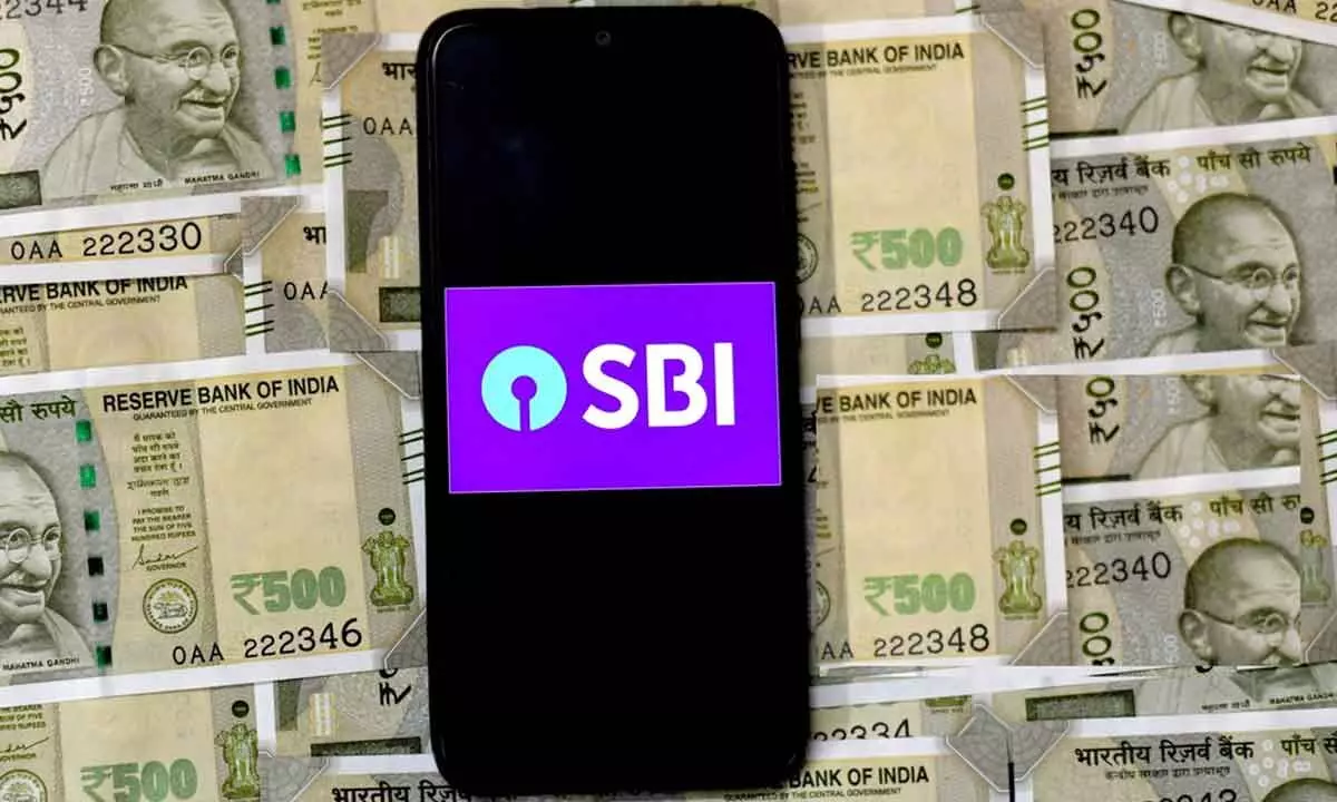 SBI charts action plan to tame risks in agri loans