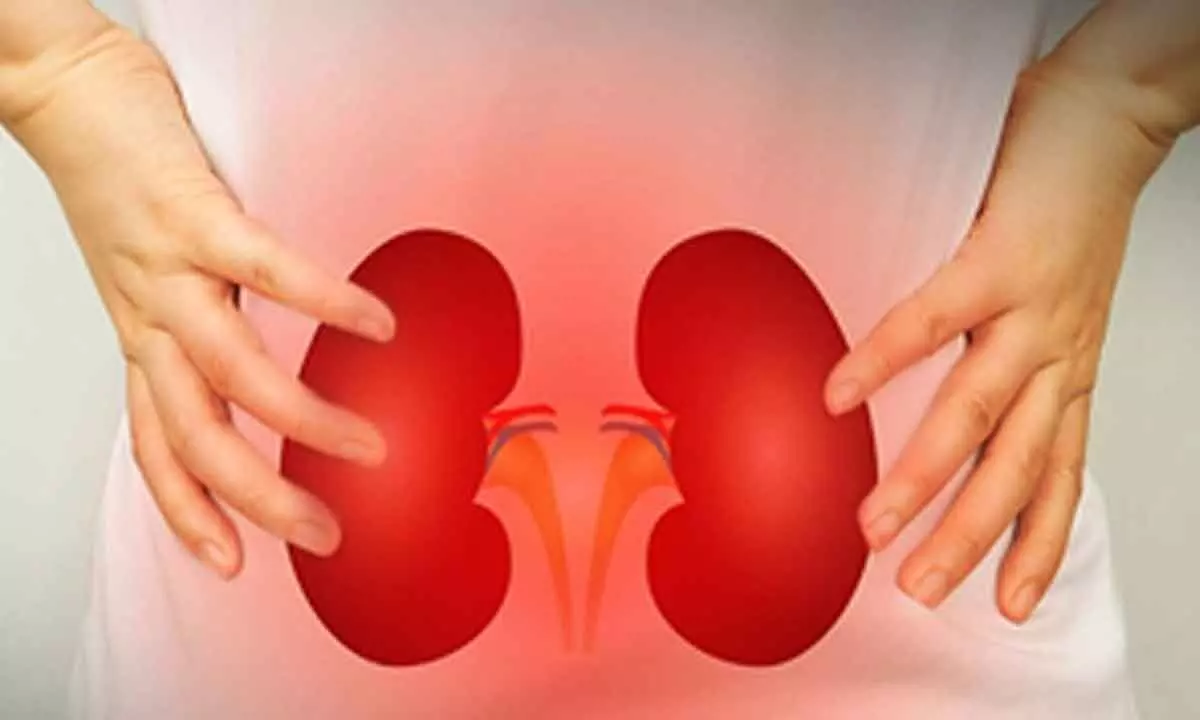 4.9% kids, adolescents suffer from impaired kidney function