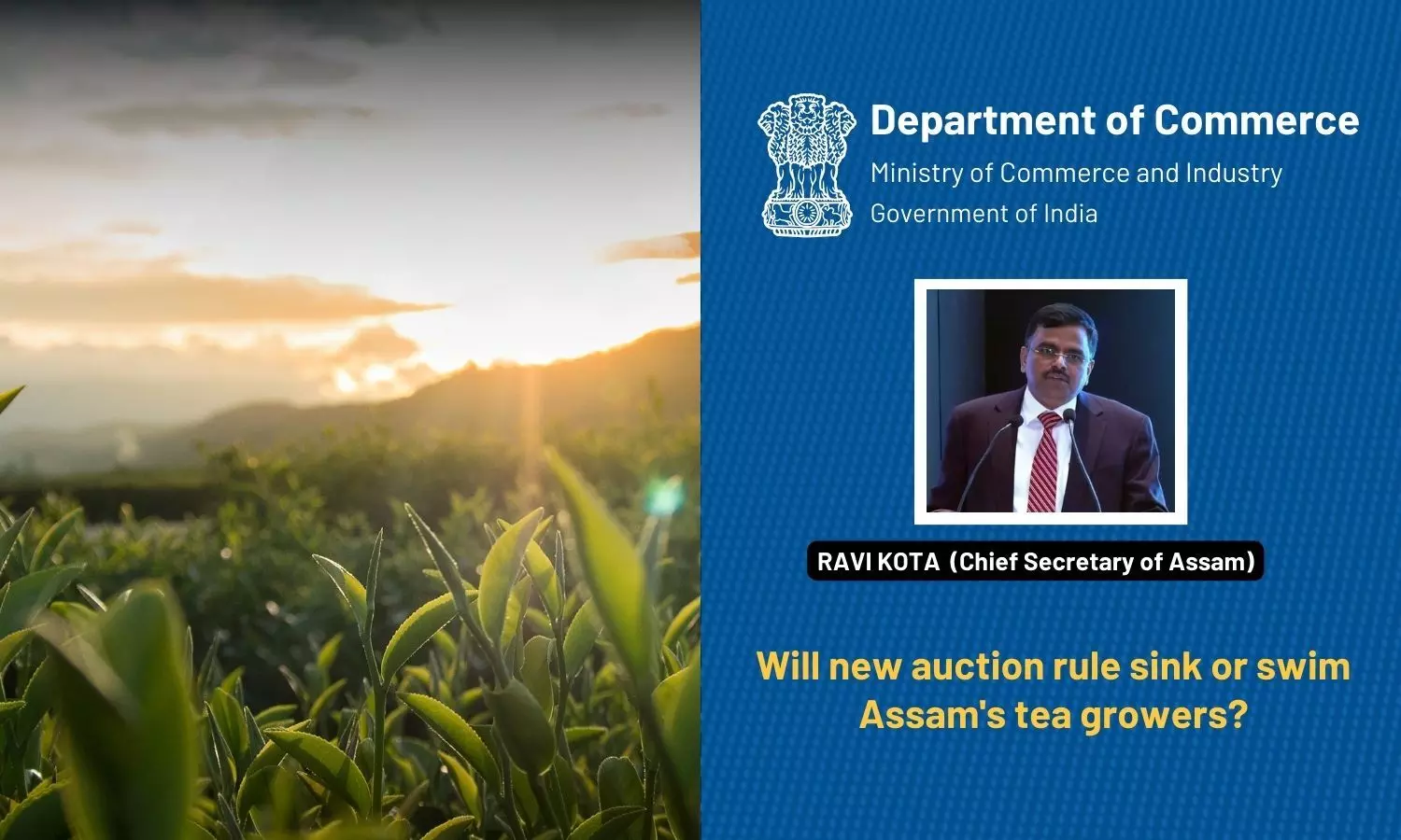 Will new auction rule sink or swim Assams tea growers? Indian Tea Association chief explains