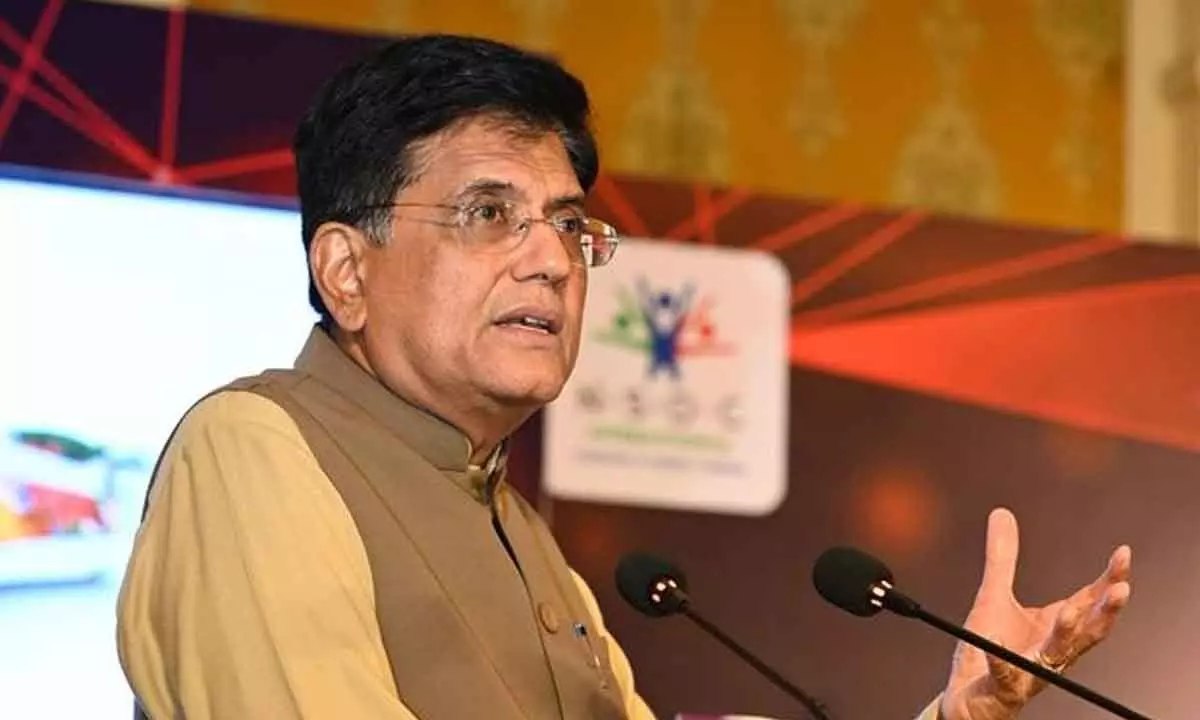 Centre will empower rural women and farmers with big push to drones: Goyal