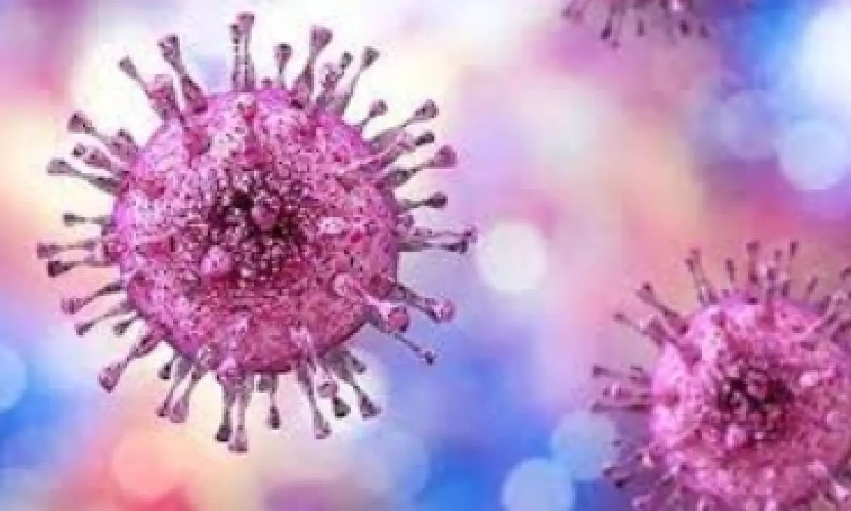 This symptomless herpes virus can harm newborns, organ transplant & HIV patients