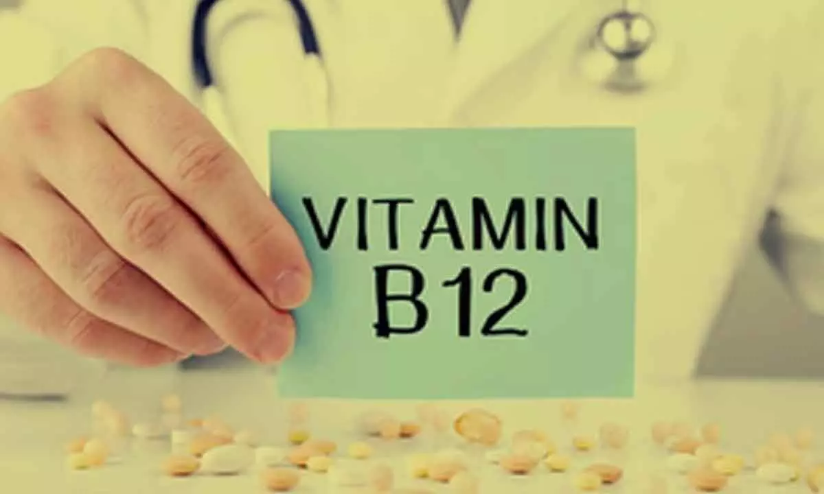 Vitamin B-12 plays key role in brain functions : Doctors