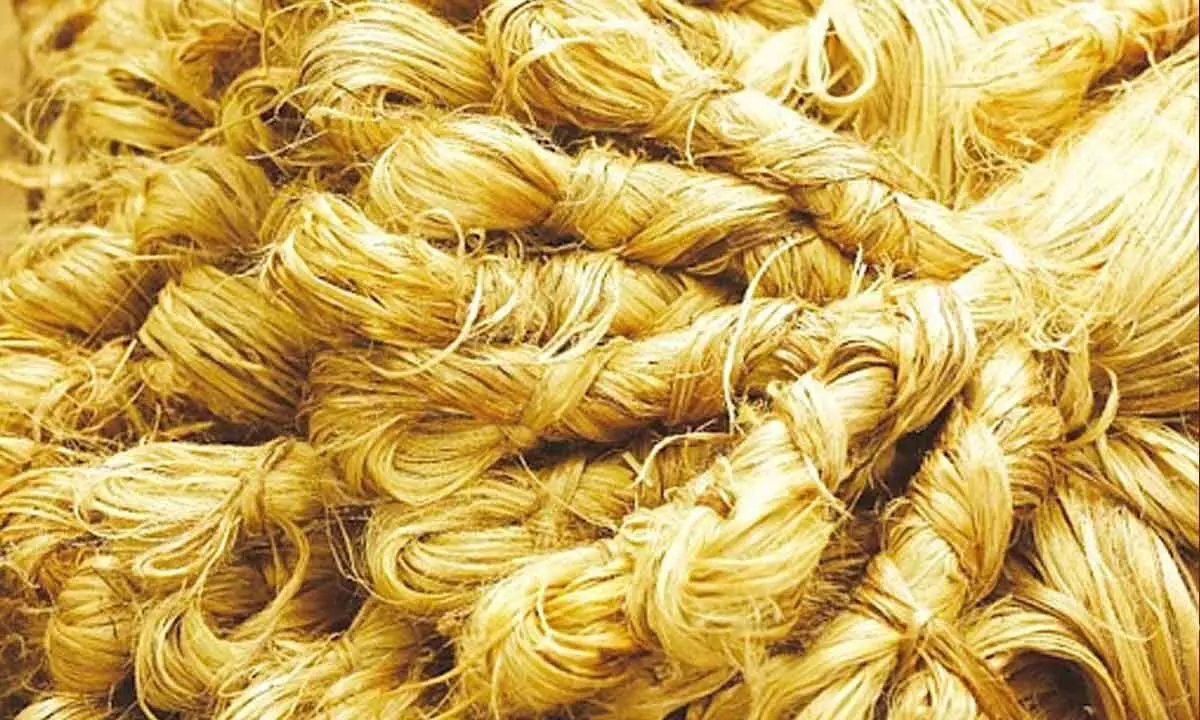 The ‘golden fibre’ tag must prompt govt to bailout jute industry