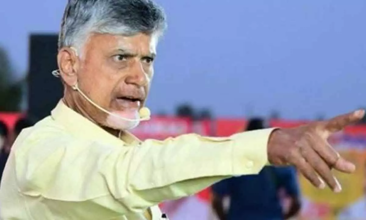 Naidu releases white paper on power sector, says YSRCP govt ruined it