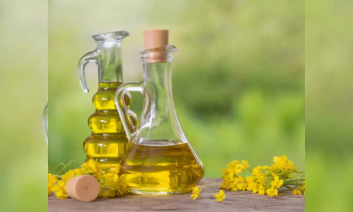 Is replacing butter with high-quality plant oils healthy?