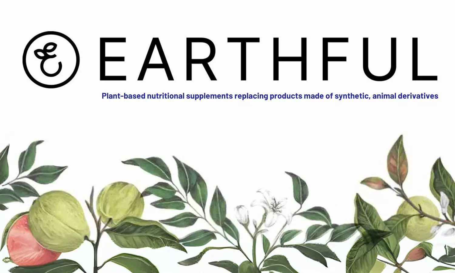 Plant-based nutritional supplements replacing products made of synthetic, animal derivatives