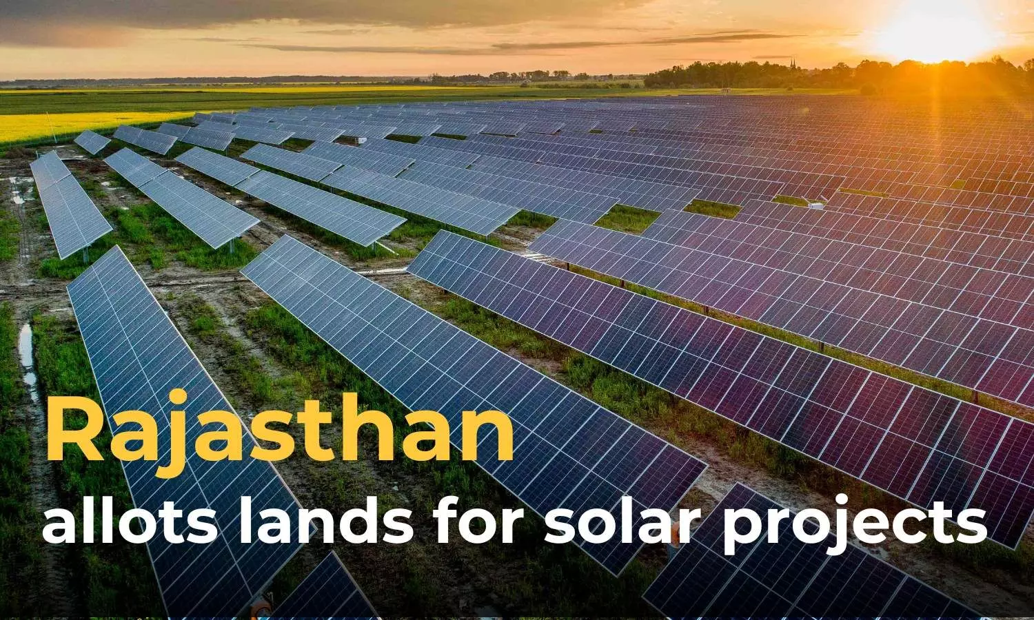 Rajasthan CM approves allotment of 4,780 ha for solar projects