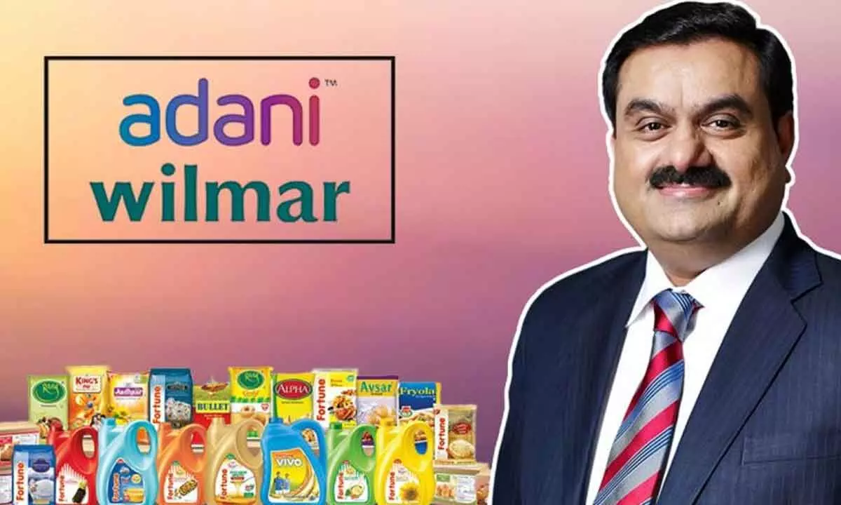 Adani Wilmar acquires 67% in Omkar Chemicals