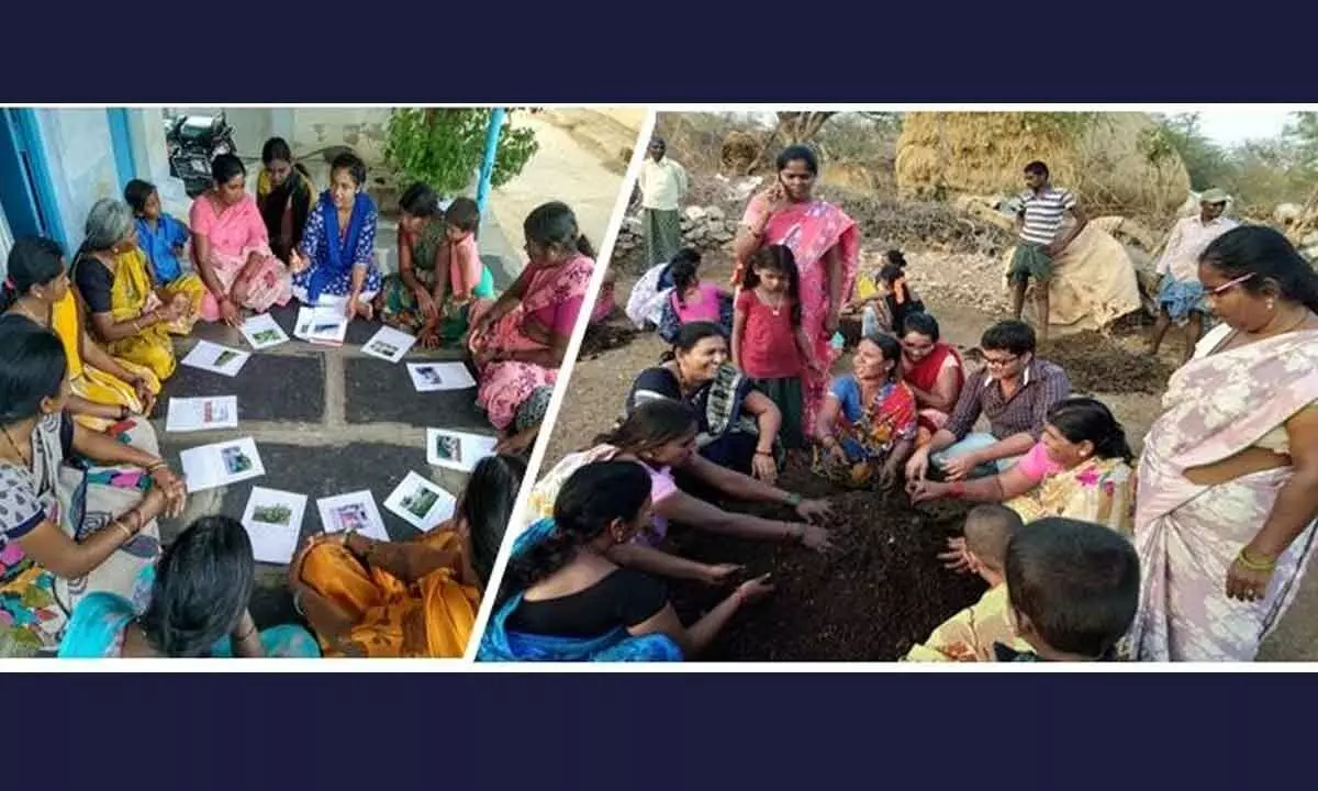 Time to adopt the Andhra Pradesh agro-ecology model of community managed natural farming systems across India