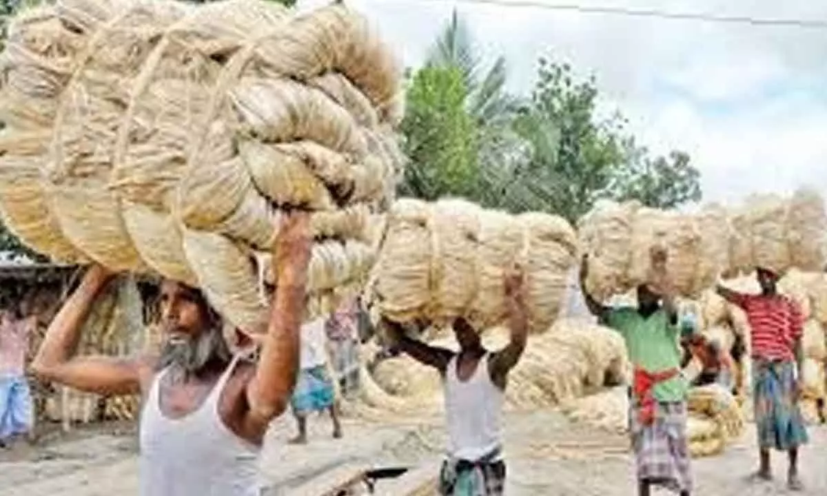 Imports from Bangladesh worsen jute sector crisis