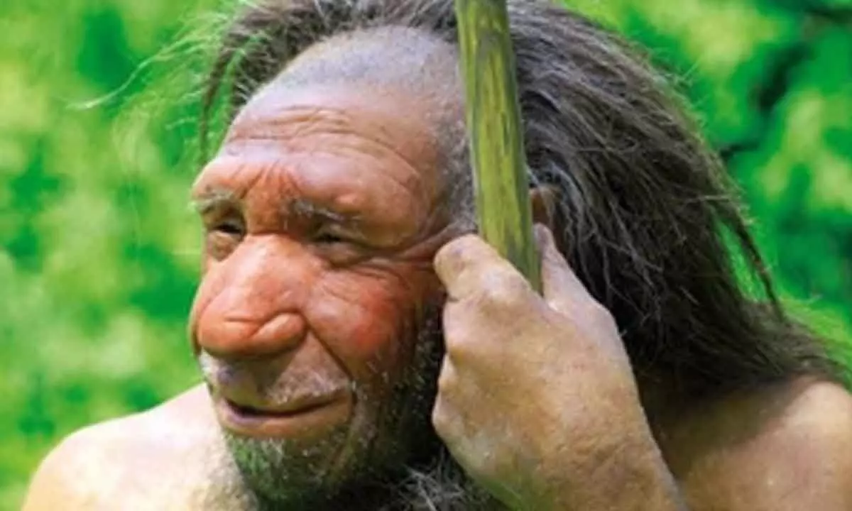 Scientists identify gene flow between modern humans and Neanderthals