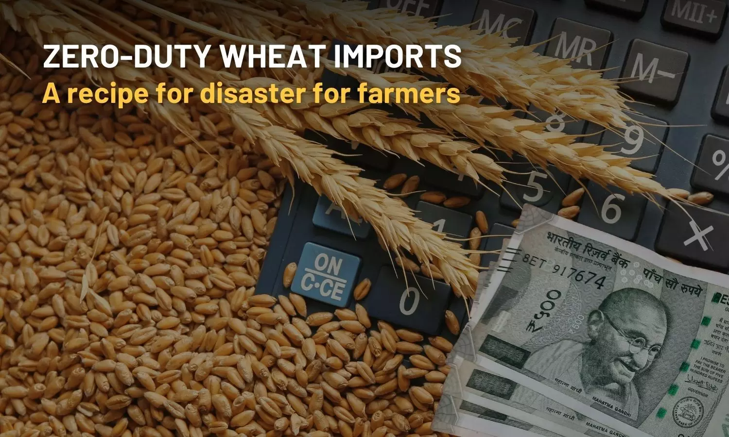 Zero-duty wheat imports: A recipe for disaster for farmers