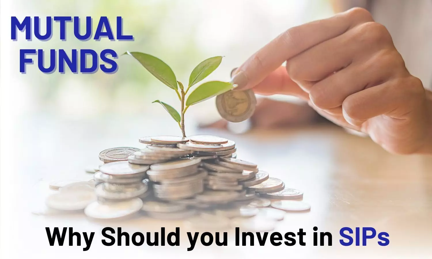 Mutual Funds: Why Should you Invest in SIPs