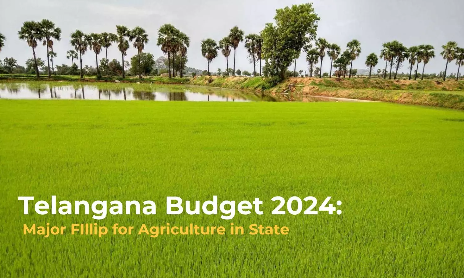 Telangana Budget 2024: Major FIllip for Agriculture in State