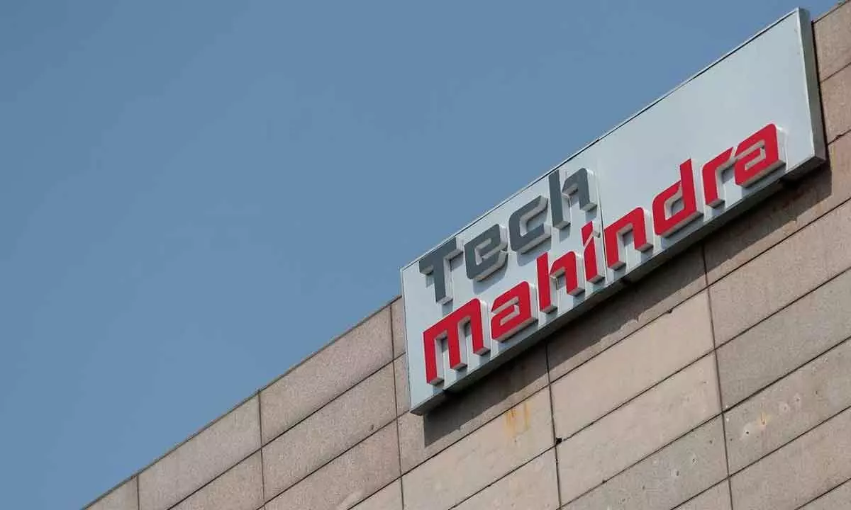 Tech M shares bounce back