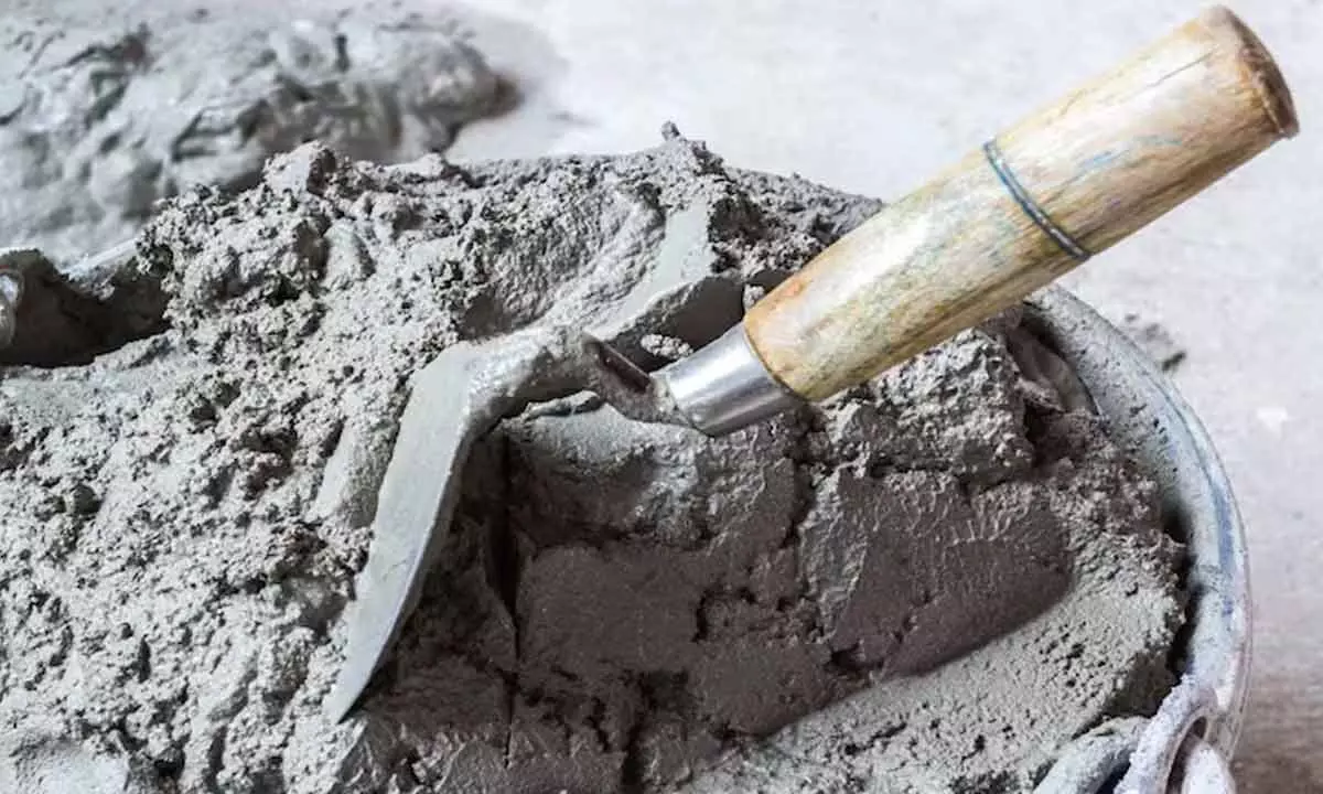 Indian cement industry can dream big, thanks to Union Budget 2024 largesse